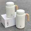 Copo Térmico de Aço Inoxidável 316 com Separação de Chá e Água, Aparência Premium, Grande Capacidade, Copo d'Água para Estudantes, Copo Portátil Feminino com Alça