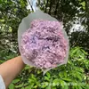 [Anna solteira] Hortênsia Eterna Anna Ramo Inteiro Hortênsia Flor Organizar Flor Fotografia Adereços Decoração