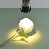 Lámpara de techo de yeso para sala de estar dormitorio, techo de cob, foco led 3W5W pequeño, lateral estrecho, apertura profunda antirreflejos 35mm, lámpara para gabinete de vino