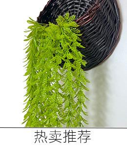 长藤条