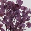 Venta al por mayor Hojas de Manzana Estilo Ins Nórdico, Hojas de Eucalipto Artificiales de Dinero, Flores Falsas de Boda de Moda, Personalización de Decoración para el Hogar