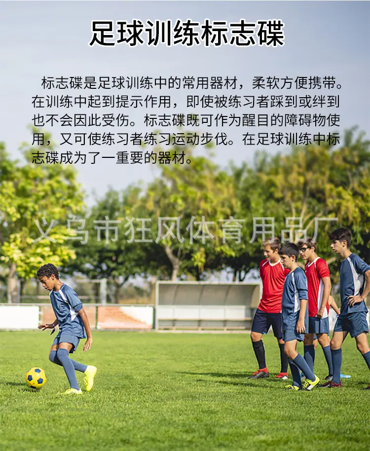 标志碟_05.jpg