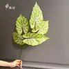 Folhas Artificiais de Colocásia com 5 Ramos, Planta Verde para Arranjos Florais de Casamento, Folhagem de Planta para Decoração de Shopping Center e Salão de Casamento