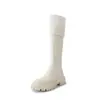 Botas de suela gruesa para mujer 2023 otoño e invierno Nuevos zapatos peludos con forro de felpa Estilo coreano Botas de nieve hasta la rodilla Botas de jinete