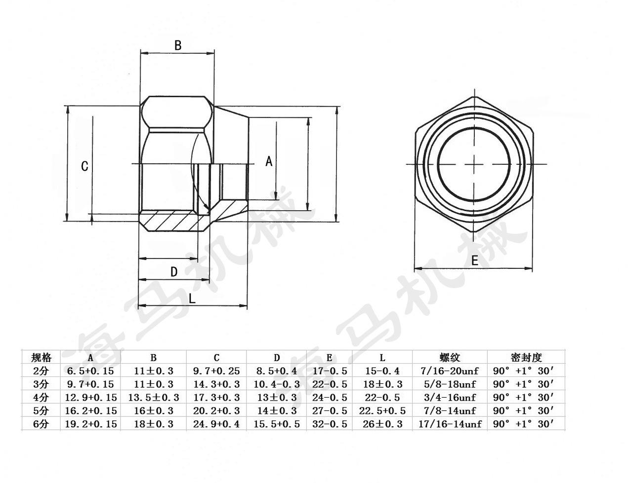 标准接管螺母图纸规格描述