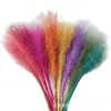 Vida eterna grama rosa e preta flores secas suprimentos para decoração de casamento materiais de flor diy materiais de flor eterna transfronteiriços fabricantes de Yunnan