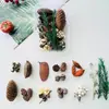 Pacote de materiais DIY feito à mão flores mistas plantas flores secas estilo floresta de jardim de infância criação de anel decoração pinhas de Natal