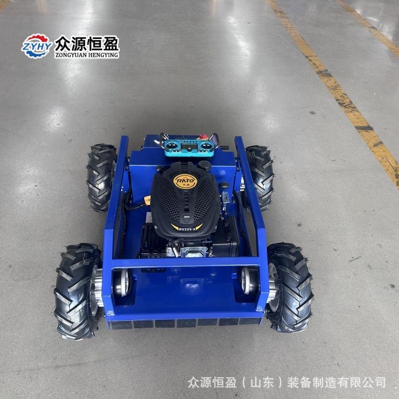 Q猎豹500头图 (10).jpg