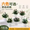Planta Artificial en Maceta Nueva de Amazon Decoraciones para el Hogar Adornos de Planta Verde Artificial Pequeña Camelia Plástico Pequeño Bonsái