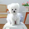 PETCIRCLE Ropa para Mascotas Perros Pequeños Cachorros Mascotas Lindas Estilo Princesa Vestido de Temperamento Andromeda Vestido de Boda