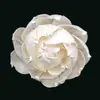 Difusor de Aroma Personalizado Flores de Rosa e Ylang-Ylang, Flores Difusoras de Óleo Essencial, Adequado para Casamentos, Festivais e Decoração de Casa, Podem Ser Perfuradas.