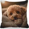 Fundas de Almohada de Animales Más Vendidas de Temu, Fundas de Almohada de Animales Lindas y Divertidas, Fundas Decorativas para Cojines de Dormitorio Hogar Sofá al por Mayor