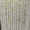 Lujo Ligero y Gama Alta Concha de Herradura Perla Blanca Conchas Redondas Cuentas Sueltas Venta al por Mayor Accesorios para Joyería DIY Cuentas