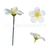 Manzhu Plumeria Gardenia Flor de Jabón Artificial Qixi Regalo para Novia Flor de Verano Ramo de Flores Caja de Regalo Materiales