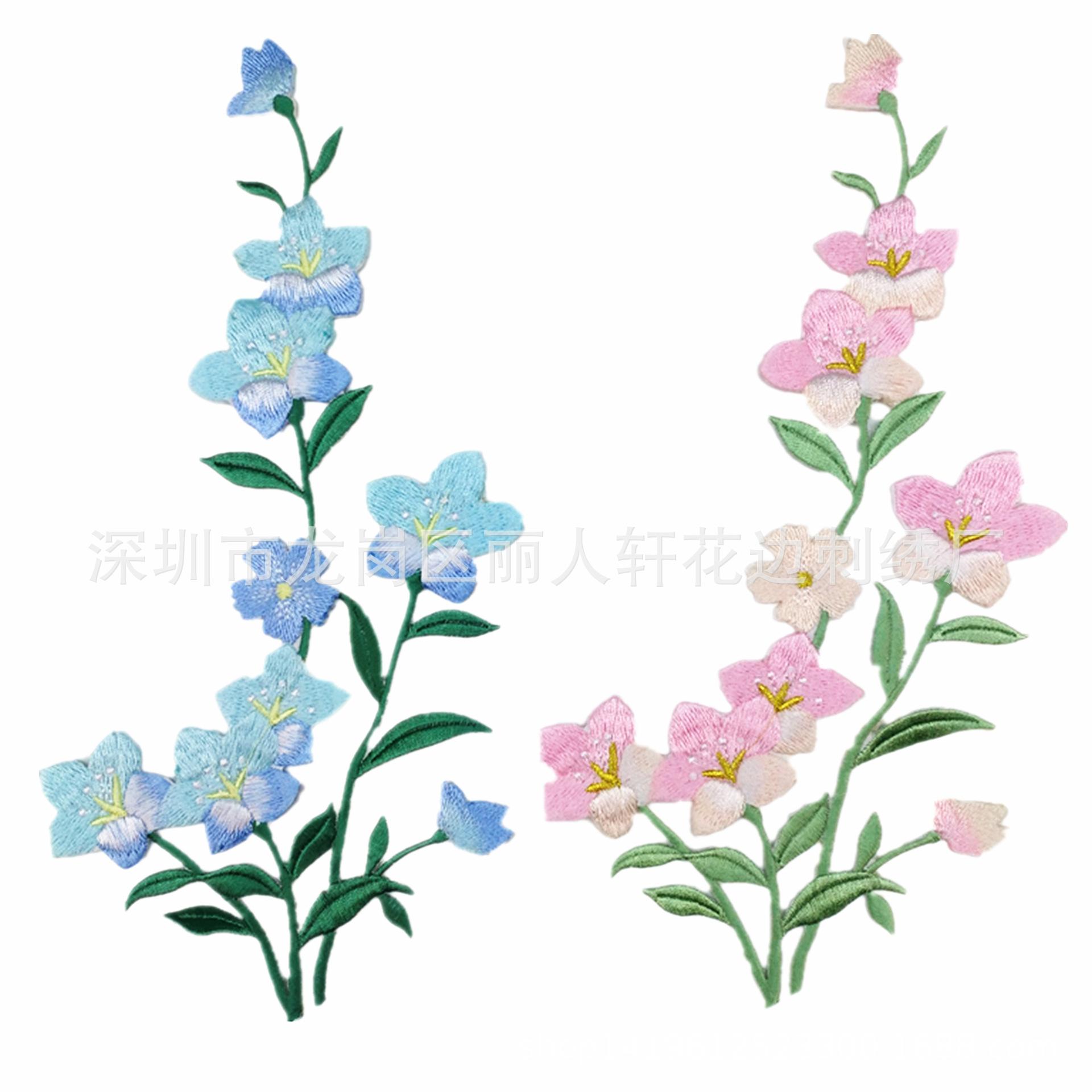 粉花兰花.jpg