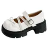 Sapatos Mary Jane Estilo Doce para Mulheres, Outono 2026, Novos Sapatos Pequenos de Couro com Plataforma Grossa para Aumentar a Altura e Tira com Laço para Meninas