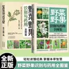 Guia Ilustrado Abrangente para Identificar Vegetais e Frutas Selvagens com Ilustrações em Cores: um Livro de Popularização da Ciência sobre Distinguir Plantas Selvagens e Consumo Seguro