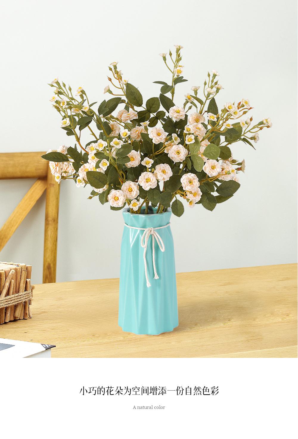 迷你小月季详情图