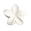 Presilha de Cabelo Flor de Frangipani Mais Vendida, Presilha de Garra para Cabelo, Presilha Tubarão, Tamanho Grande para Cabelos Grossos, Acessórios Populares, Joias Yiwu