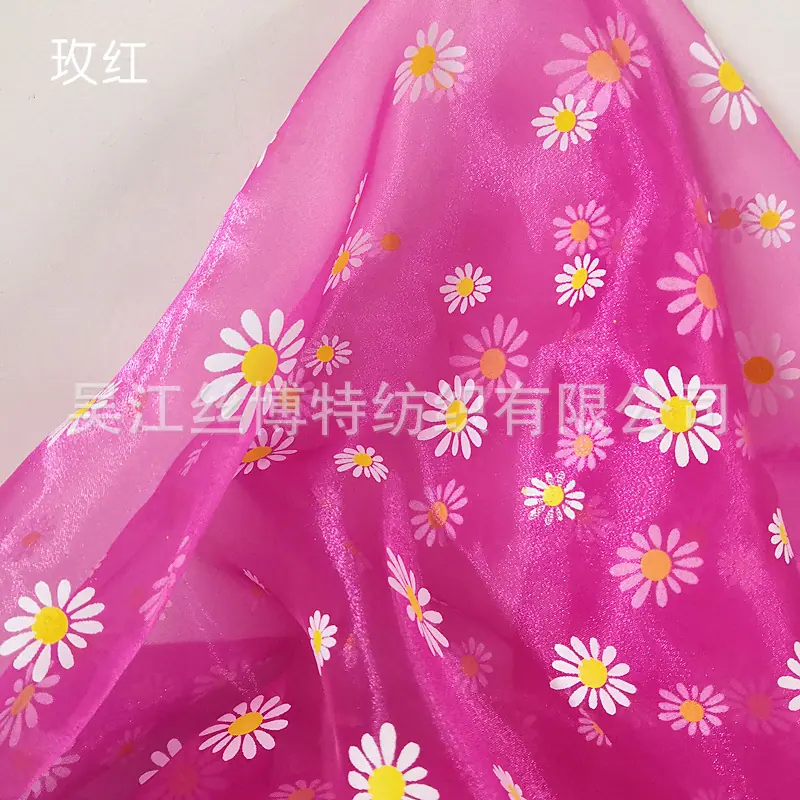 雏菊6.jpg