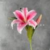 Aba de flor artificial Lily Decoração para casa Arranjo de flores Decoração de casamento Engenharia de hotel Flor Row Road Flor artificial Flor falsa