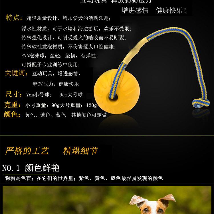 宠物球_04