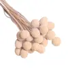 [Vila Zanhua] Yongsheng Flor Bola Dourada Flor Seca Yunnan Buquê Fruta Seca Planta Multicolorida Flor Seca Real Atacado