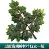 Ramas de Árbol de Simulación Enverdecimiento Hojas de Árbol Falsas Decoración de Ingeniería de Jardín Accesorios para Actuaciones de Árbol Grande Hojas de Higuera Recubiertas de Pegamento Rama de Paisajismo