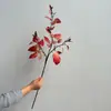 Hojas de Abedul de Colores Otoñales Artificiales, Hojas de Glicina, Hojas de Eucalipto, Ramas Secas, Arreglo de Escena de Hojas de Otoño, Ramas de Flores Secas para Decoración de Boda