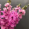 Sensación de una mano delphinium impresión 3D jacinto flor de simulación Nueva Primavera camino de boda chiyidai orquídea violeta