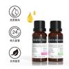 Piedra de Ampliación Aromaterapia Aceite Esencial Paquete de 2 SPAR Adornos de Aromaterapia Interior Sin Fuego Lata de Hierro Fragancia Caja de Regalo Venta al por Mayor Transfronteriza