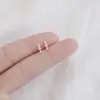 Brincos de Prata Esterlina 925 Novo Estilo Primavera Verão Pequenos Celebridade da Internet Douyin Venda Quente Brinco Simples Moderno Estudante Feminina Noite