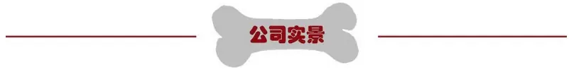 公司实景