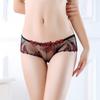 Ropa Interior para Mujer Nueva Sexy Cintura Baja Encaje Malla Transpirable Transparente Caliente Bordado Talla Grande Calzones Shorts 835
