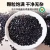 Arroz Negro Orgánico Cocido del Noreste, Tostado a Baja Temperatura, Sabor Original, Grano Nuevo, Molido en Polvo, Especial para Hacer Leche de Soya, Granos Enteros, 1kg