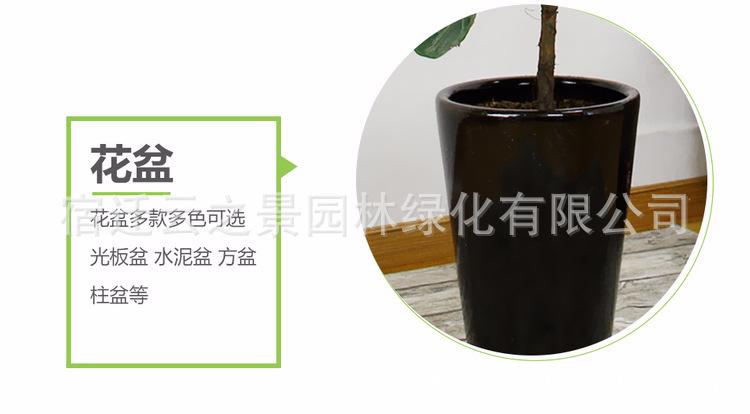 鐞村彾姒曡缁?