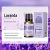 Versão Chinesa Yinsho de Óleo Essencial de Aromaterapia Solúvel em Óleo 10ml Pedra Difusora Vela de Aromaterapia Purificador de Ar Óleo Essencial de Aromaterapia