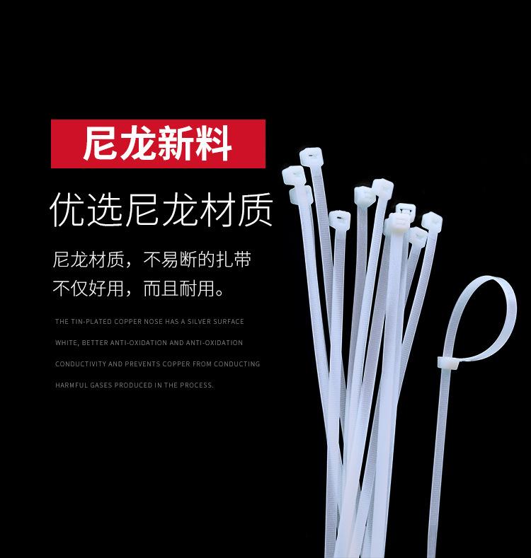 九华-尼龙扎带_03.jpg