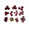 Amazon Explosions 56 Piezas Traje vintage color vino tinto Calcomanía Flores de tela hechas a mano Accesorios para Ramillete de solapa / Pasador de pelo