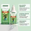 Suplemento Nutricional para Crescimento de Plantas Moonspry para Cuidado do Sistema Radicular e Manutenção de Flores e Plantas em Vasos Caseiros