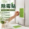 Artefacto removedor de moho de pared de un solo uso, removedor de moho multifuncional para habitaciones, ya no temas al moho en casa