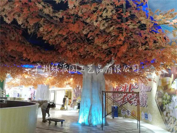 枫树红枫树绿枫72.jpg