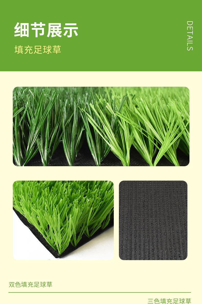 草坪--足球场免填充_05