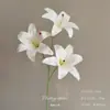 Flores Artificiais Brancas para Decoração de Casamento, Flores de Seda, Ornamentos de Flores Artificiais, Arte Floral Seca, Materiais de Rosa, Arranjo de Flores para Corredor, Arranjo de Parede e Chão