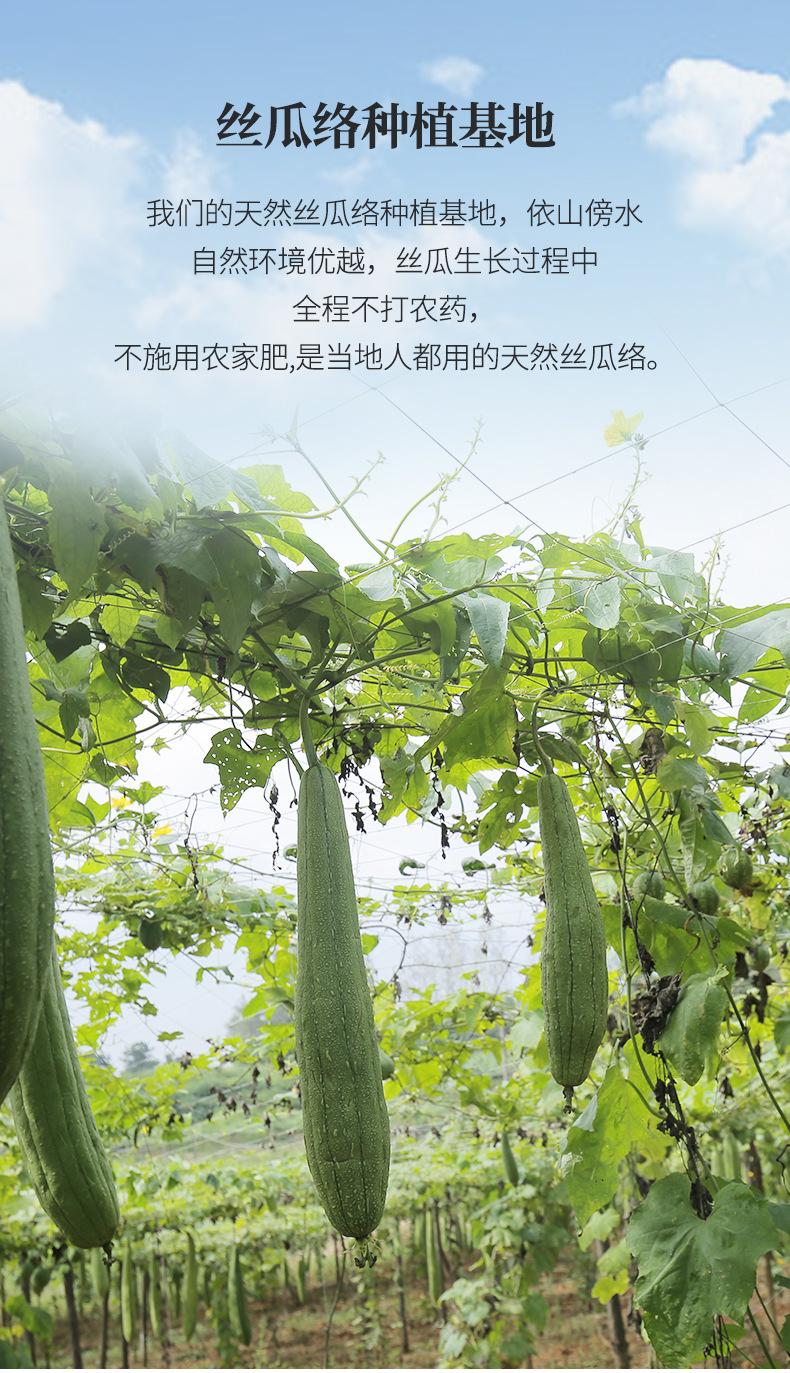 丝瓜擦_04.jpg
