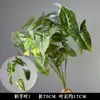 Plantas Verdes, Hierba de Junco, Hierba Bigote de Dragón, Fondo de Boda, Paisajismo de Ventana Floral, Flores Decorativas para Boda en Bosque Blanco y Verde