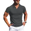 Verano Europeo y Americano Transfronterizo AliExpress Amazon Nueva Camisa Polo Lel Cuello en V Raya Vertical Manga Corta Camiseta para Hombre