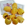 Flor de Tulipa Simulada Cabeça de Flor Oca Pode Ser Usada como Lâmpada de Flor Solar LED 6cm Artesanal DIY Flor de Seda de Osso Falsa