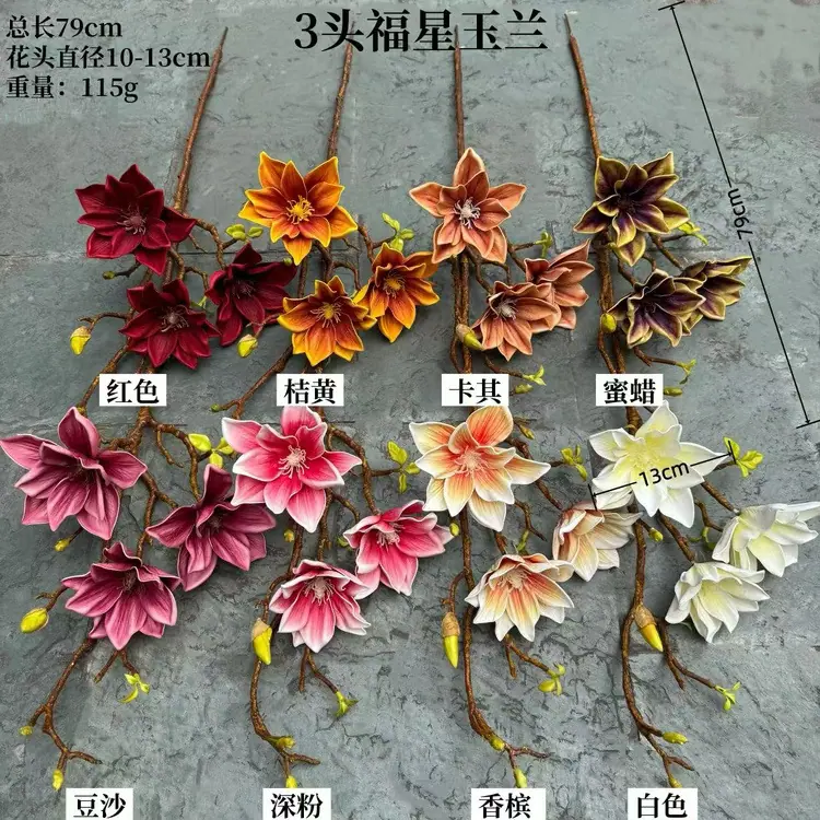 福星玉兰1