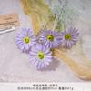 Cosmos Flocado Simulado Buquê Falso Flor de Seda Flor Artificial de Plástico Decoração de Sala de Estar de Alto Padrão Produto Acabado Floral de Casamento